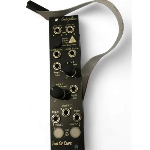 Used Endorphin.es TWO OF CUPS Sound Module