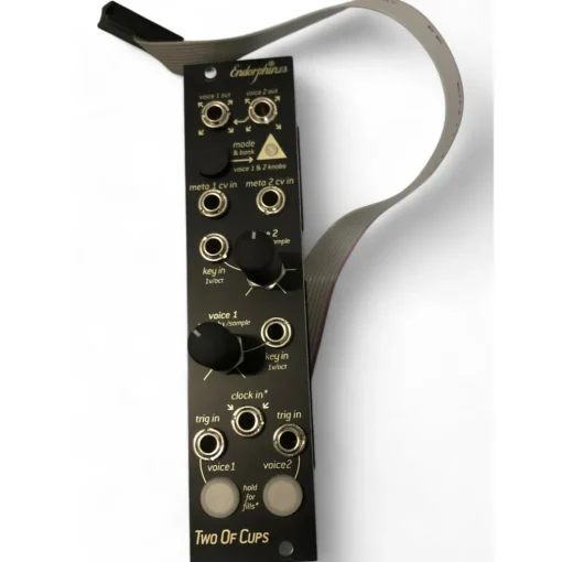 Used Endorphin.es TWO OF CUPS Sound Module