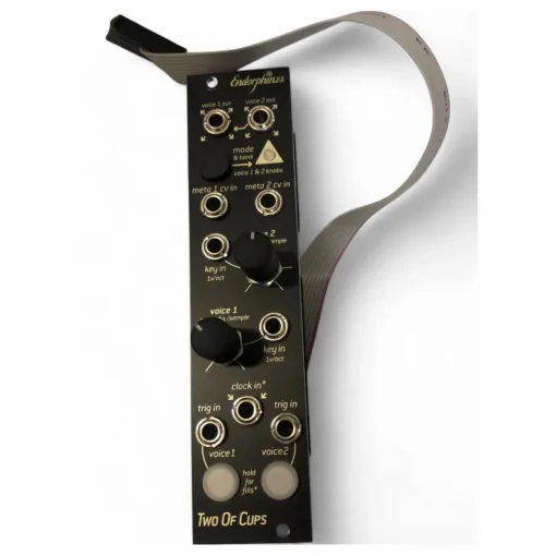 Used Endorphin.es TWO OF CUPS Sound Module