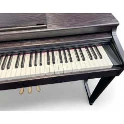 Used Roland Rp701 Digital Piano