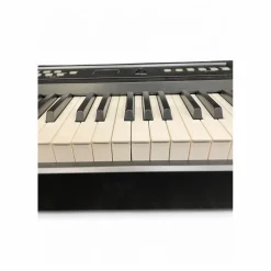 Used Williams Allegro 88 Key Digital Piano