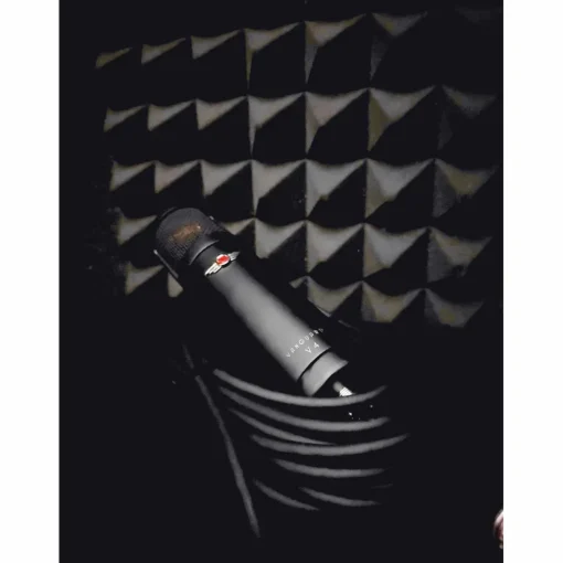 Vanguard Audio Labs V4 gen2 Eclipse Edition