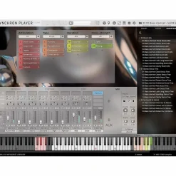 Vienna Symphonic Library Synchron Woodwinds Full Library Plug-In