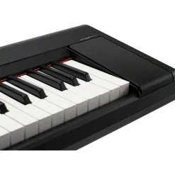 Yamaha Piaggero NP-15 61-Key Portable Keyboard With Power Adapter Black