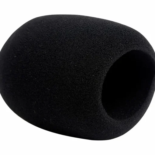 Zoom ZUM-2 USB Supercardiod Podcast Microphone
